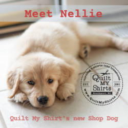 Nellie_shop_dog